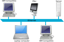 Aparició de la xarxa LAN protocol TCP/IP actual