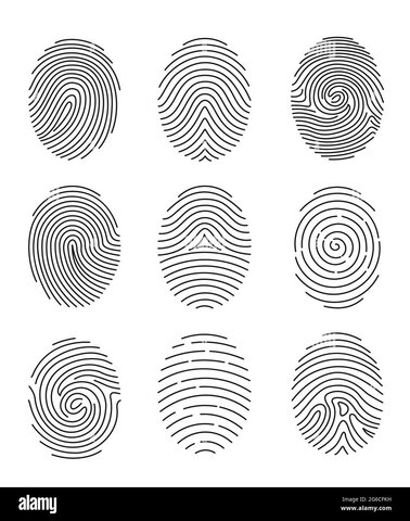 MÁS APORTACIONES A LA DACTILOSCOPIA