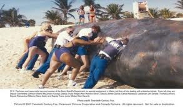 Magellan completes circumnavigation