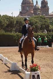 Competició de hípica