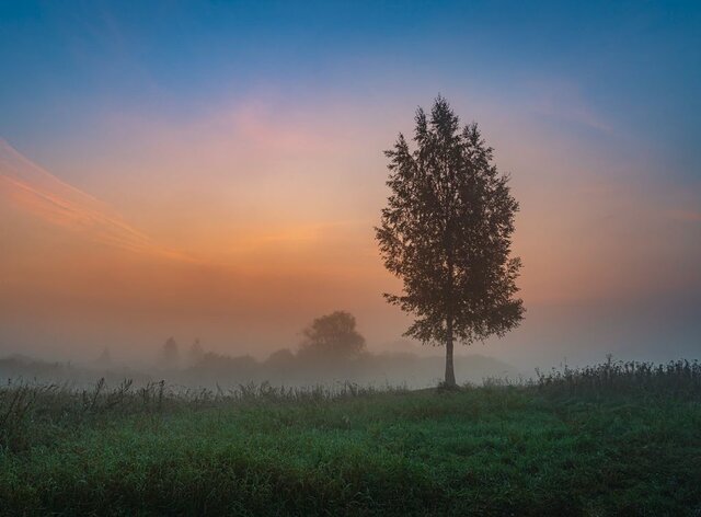 Quan vaig anar a Pakistan