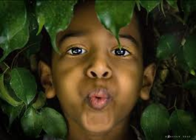 Virginia becomes first Royal Colony