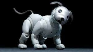 AIBO