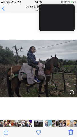 Vaig montar a un caball