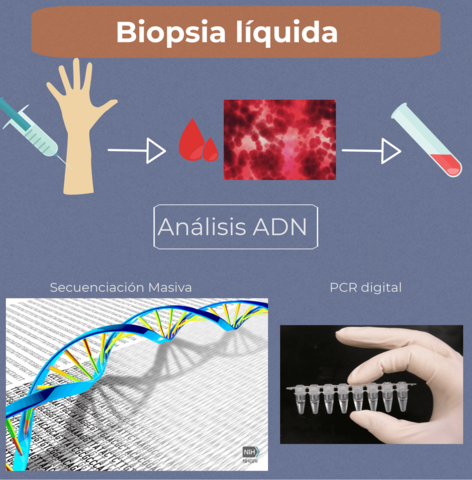 Biopsia líquida