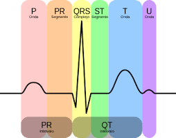 Electrocardiograma (ECG)