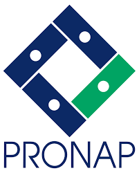 Programa Nacional de Actualización Permanente de Maestros de Educación Básica en Servicio