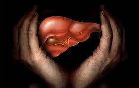 2013     La FDA aprueba los primeros ensayos clínicos en humanos de un riñón artificial portátil diseñado por Blood Purificatio Technologies Inc. de Beverly Hills, California.