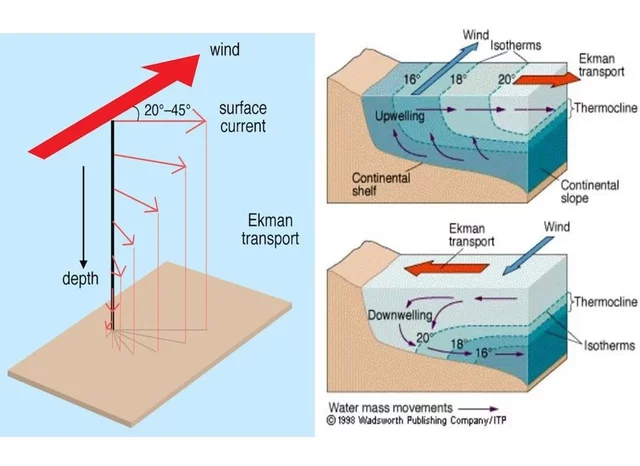 Aristóteles expuso el principio más importante del intercambio de agua entre los océanos y la atmósfera