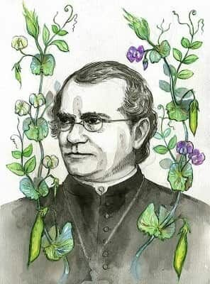 Estudios sobre genética