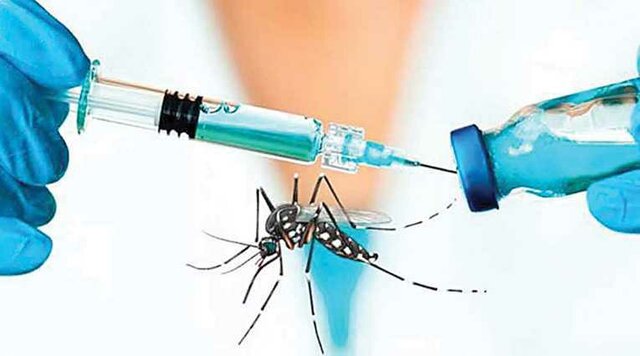 Vacuna contra el tifus