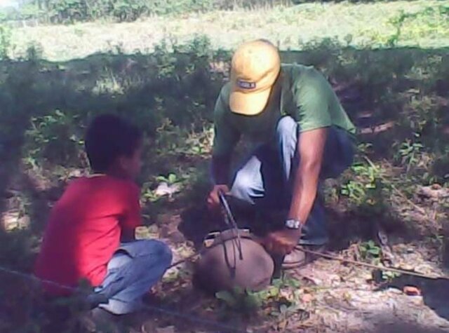 PRIMERAS EXPERIENCIAS EN EL CAMPO