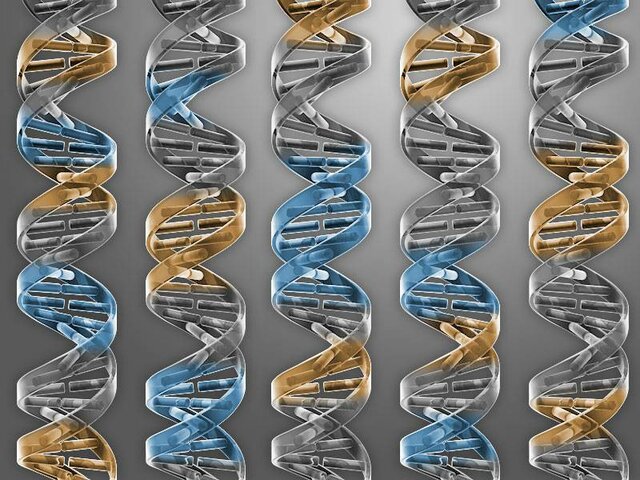 el genoma artificial