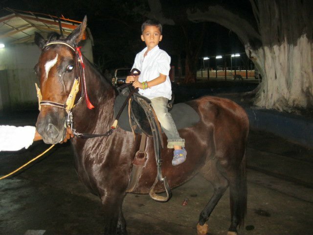 PASIÓN POR LOS CABALLOS