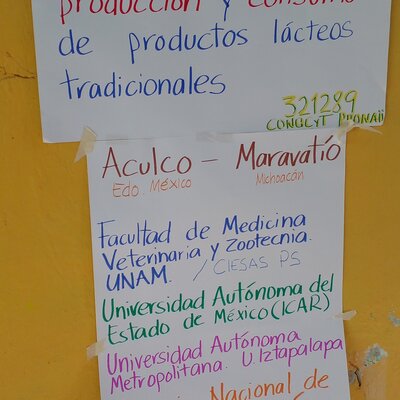 Timeline: Taller (actividad). Línea de tiempo: Reflexión sobre el pasado y deseos del futuro
