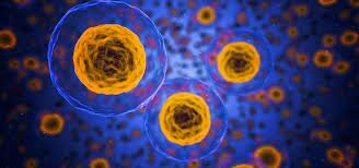 Reprogramación de Células