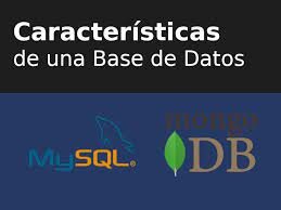 caracteristica importante de la base de datos