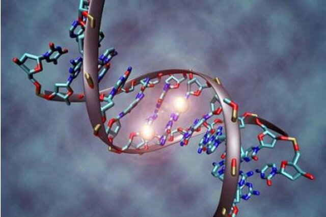 Secuenciación del genoma