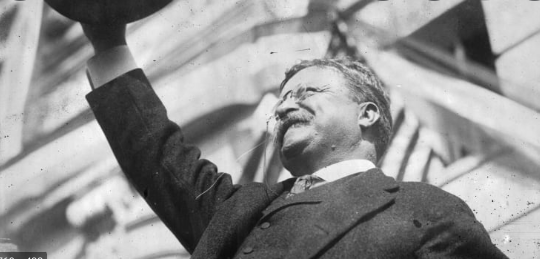 Teddy Wins Presidential Election