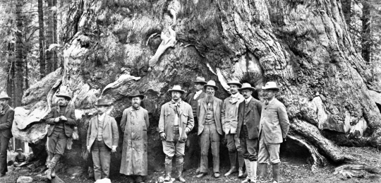 Yosemite Becomes Nationally Protected