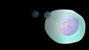 Terapia génica e inmunoterapia celular