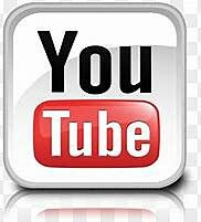 Se crea YouTube, DailyMotion y Reddit.