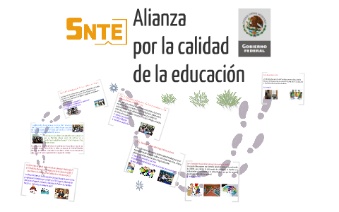 Alianza para la Calidad de la Educación