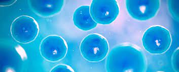 Reprogramación de Células