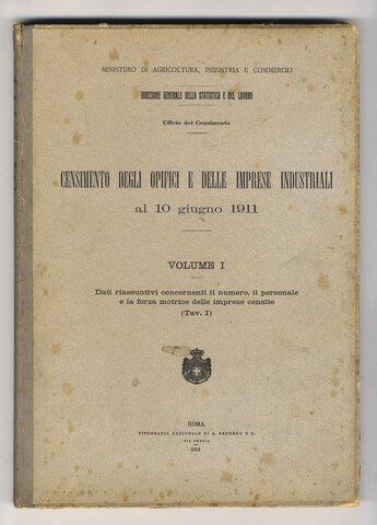 Censimento in Italia