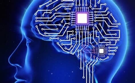 CÓMO SERÁ EL CEREBRO HUMANO EN 5000 AÑOS