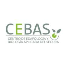 Creación del CEBAS