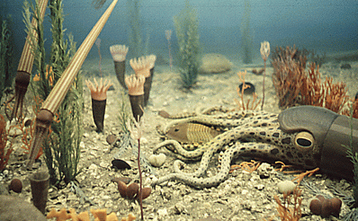 Ordoviitsium