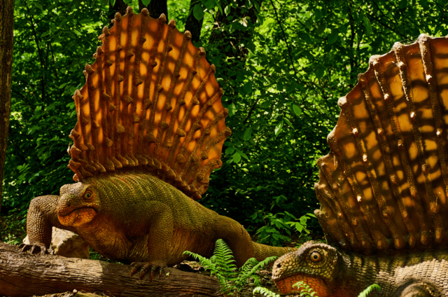 Edaphosaurus