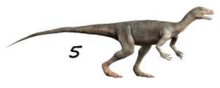 Esimesed dinosaurused