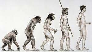 Aparición de los primeros homínidos