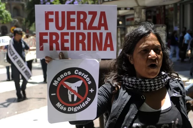 Manifestaciones del año 2007 en contra de la planta faenadora de Agrosuper en la Doñihue