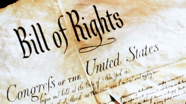 The Bill of rights