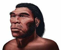 5 millones de años a.c