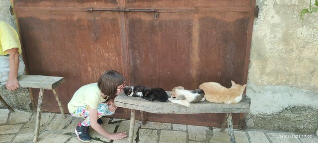 Altri amici pelosi...