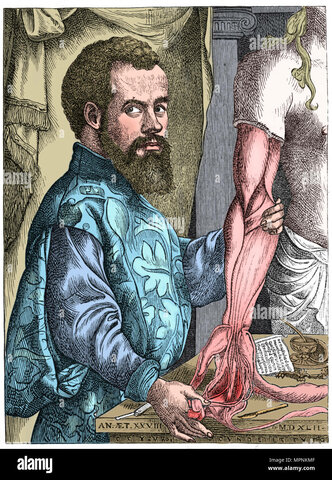 Andreas Vesalius