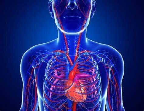 Válvulas cardiacas artificiales