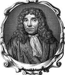 Leeuwenhoek