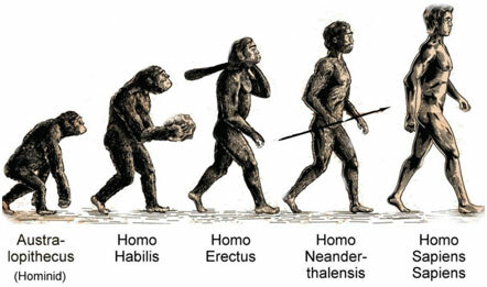 Perekond Homo