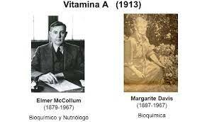 Descubrimiento de la vitamina A