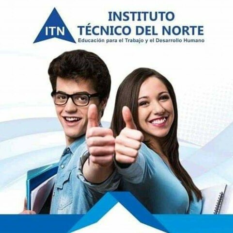 Técnico En Sistema