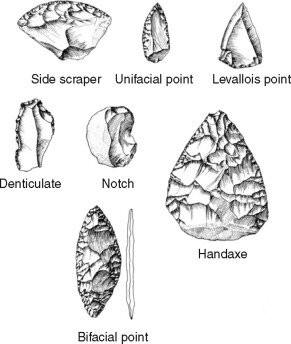 Mousterian Industry 200,000 Cya