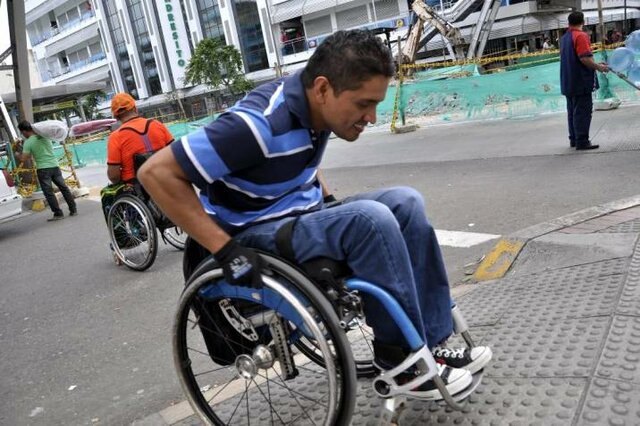 Se organiza el Sistema Nacional de Discapacidad y se dictan otras disposiciones