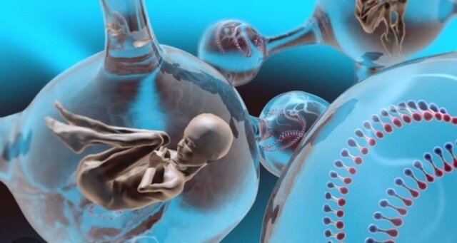 bebé concebido in Vitro