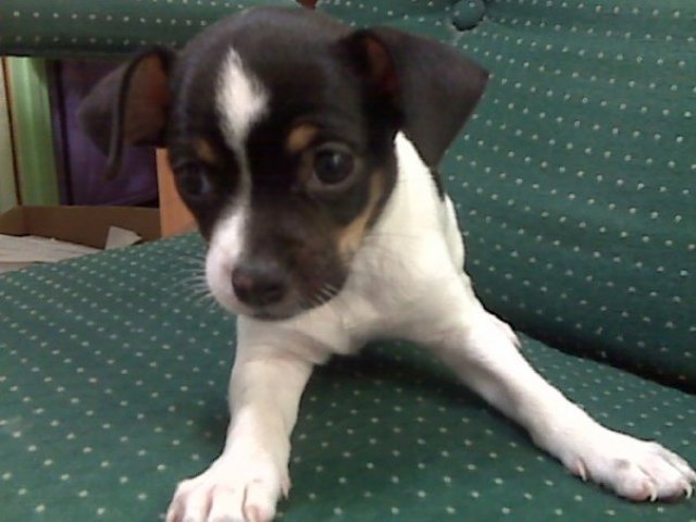 Little Bella is born