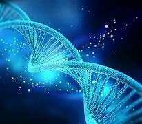 Descubrimiento del ADN